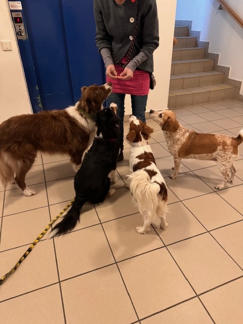 image0_240125.jpeg, 118kB