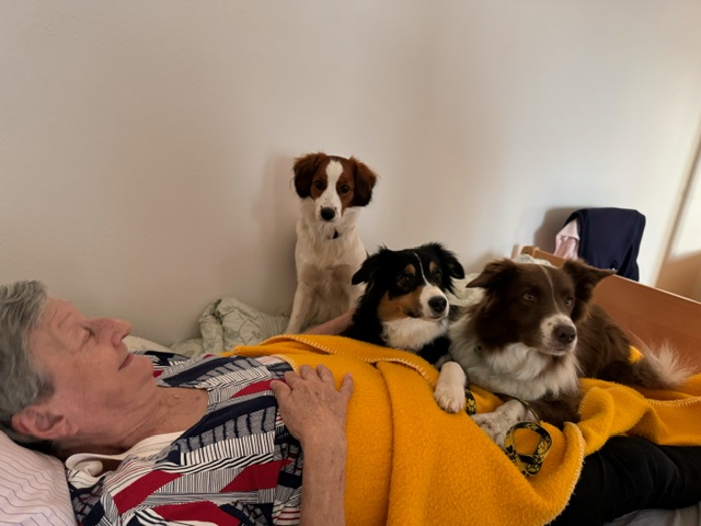 image5_240125.jpeg, 146kB