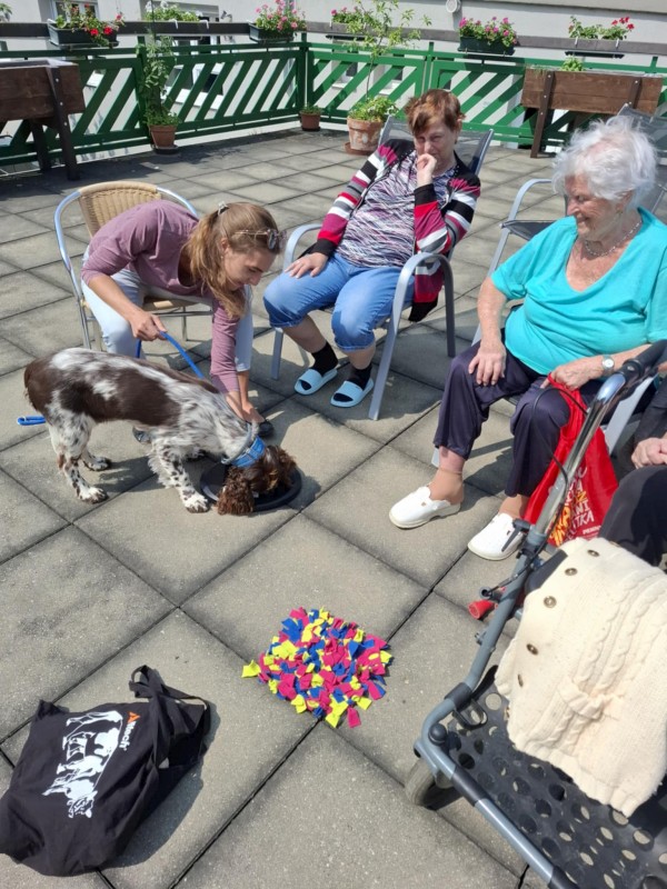 1ec47814-80a5-4b3f-b73f-a5d0a5b0c746.jpg, 165kB