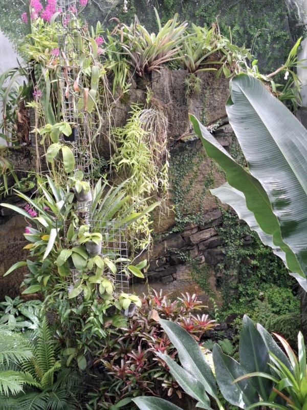 2f29c61b-8f97-4e00-99d4-5ad6d52edf92.jpeg, 214kB