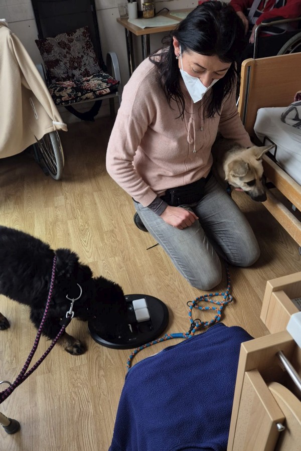 6ab7acde-a4fc-4958-b508-5af18b25a306.JPG, 147kB