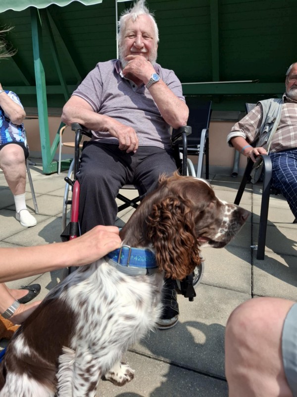 6dcc4233-ce1e-4d5e-988a-7ee3e9a767e6.jpg, 125kB