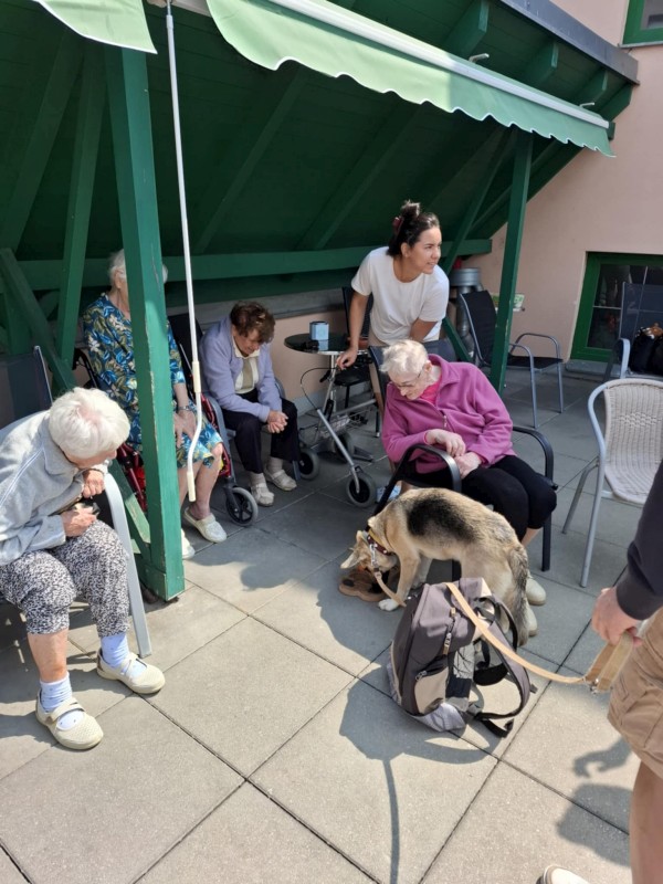 7166c41d-a427-43c8-acf5-086fc69c6048.jpg, 126kB