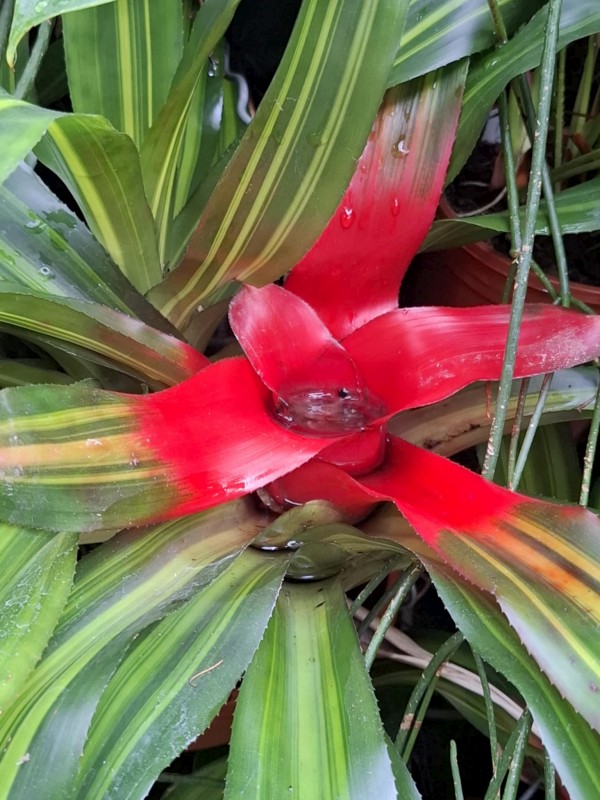 760466a8-664c-4a96-a093-69d6cf52e64c.jpeg, 130kB