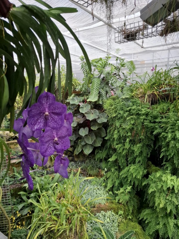 900cf79a-79dd-45fb-9b9a-c3c87016cbfd.jpeg, 201kB