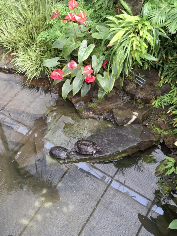 99d17a33-d473-488b-8b7e-61716e87416b.jpeg, 183kB