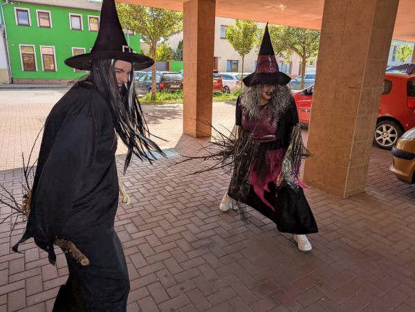 PXL_20250429_122959388.jpg, 88kB