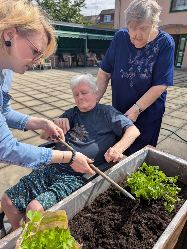 PXL_20250602_080131145.jpg, 175kB