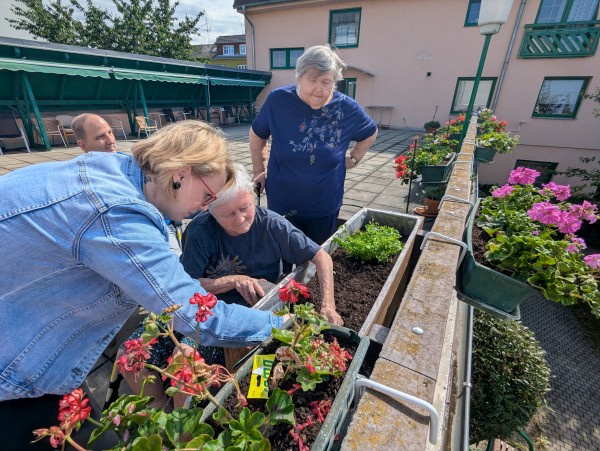 PXL_20250602_080504529.jpg, 116kB