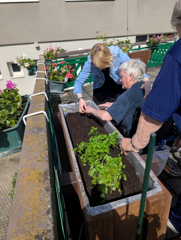 PXL_20250602_080538431.jpg, 152kB