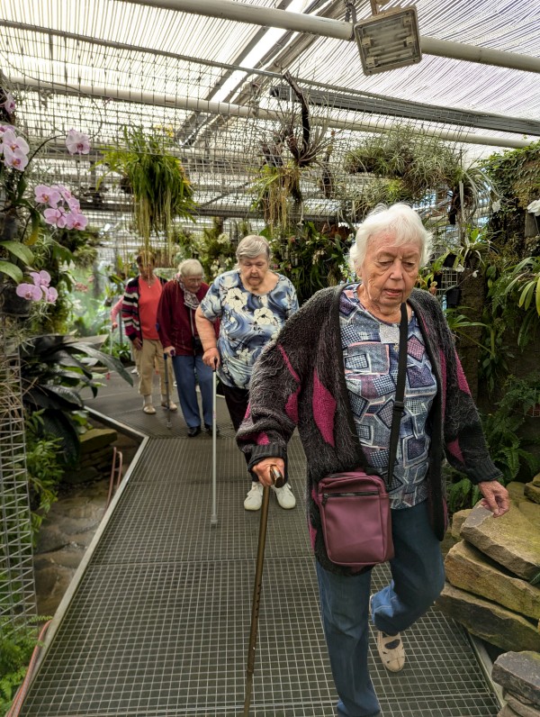 PXL_20250617_075831222.jpg, 208kB