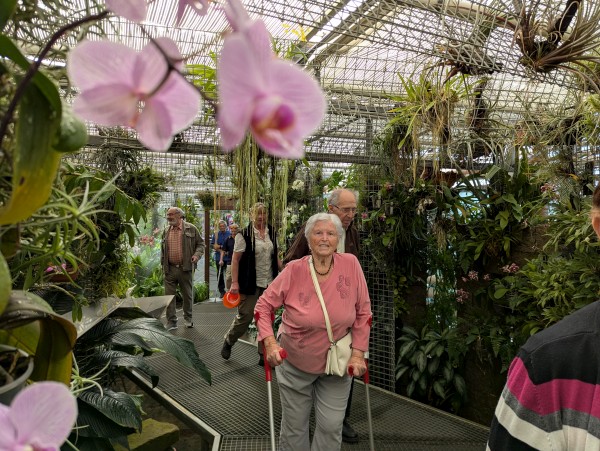 PXL_20250617_075845603.jpg, 121kB