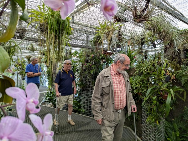 PXL_20250617_075905495.jpg, 130kB