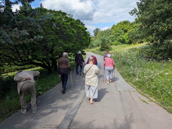 PXL_20250617_081413999.jpg, 107kB