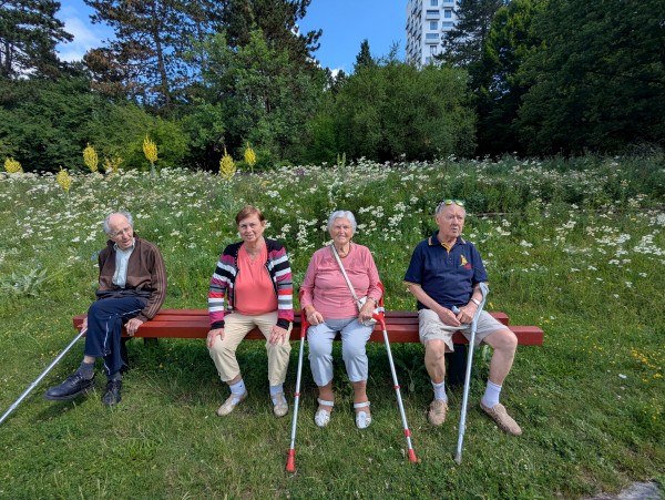 PXL_20250617_081544056.jpg, 132kB