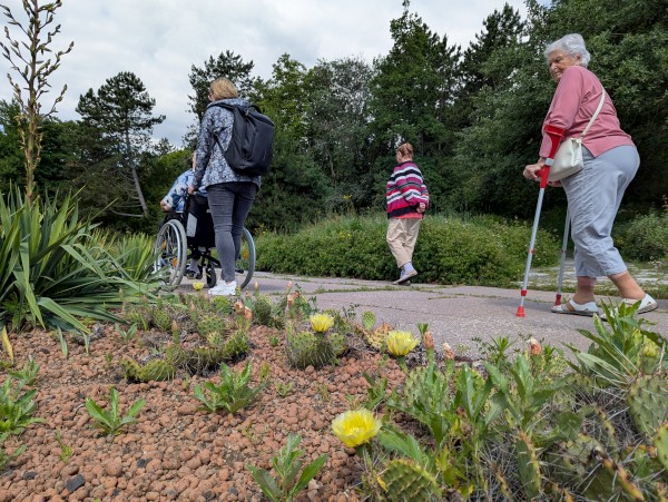 PXL_20250617_082205328.jpg, 132kB