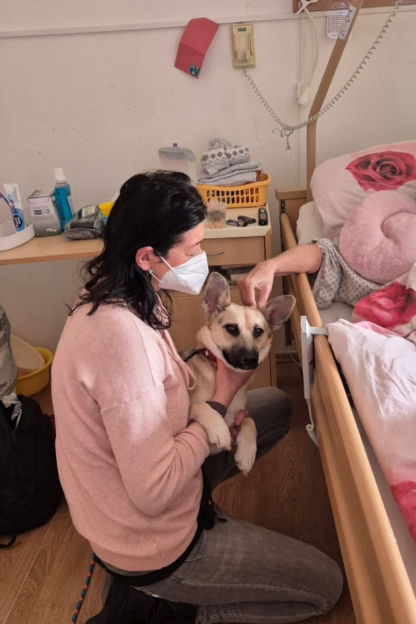 a4e951e4-8893-4e38-b488-9bea4de129d3.JPG, 118kB