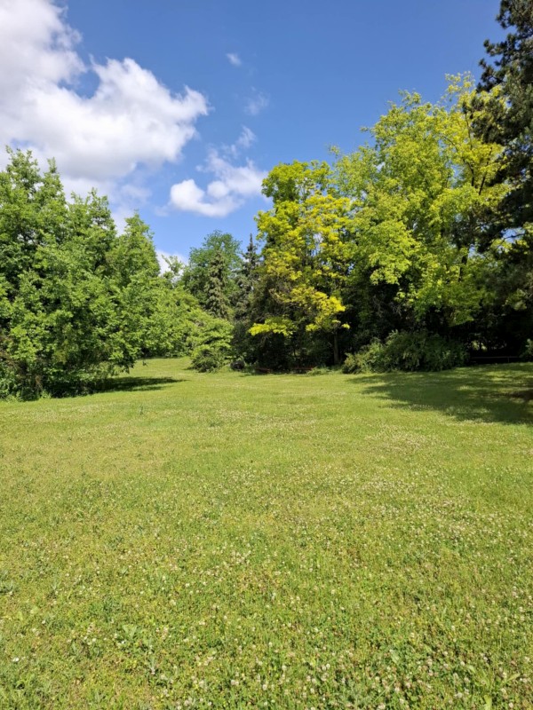 af647df8-9d0f-474c-a7f1-b647c64ba611.jpeg, 190kB