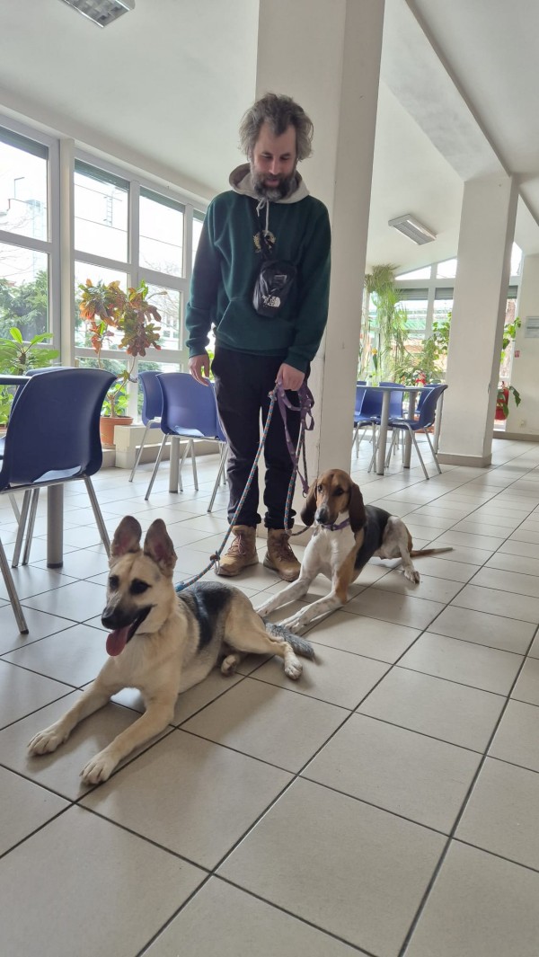 c2af535a-e0bf-4ff4-87a5-ea9fb9c048c6.JPG, 133kB