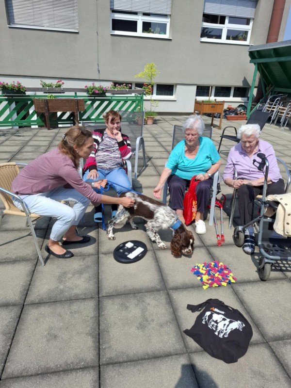 c551f3de-a461-428f-82f8-4cf766fec35e.jpg, 149kB