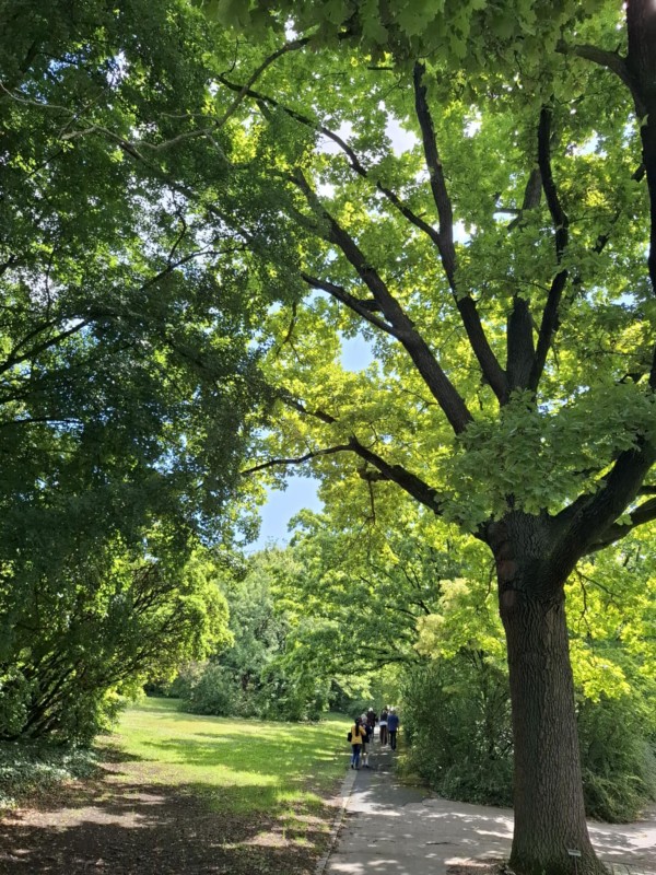 db72dccc-bd61-4ded-b88c-e5915695181b.jpeg, 225kB