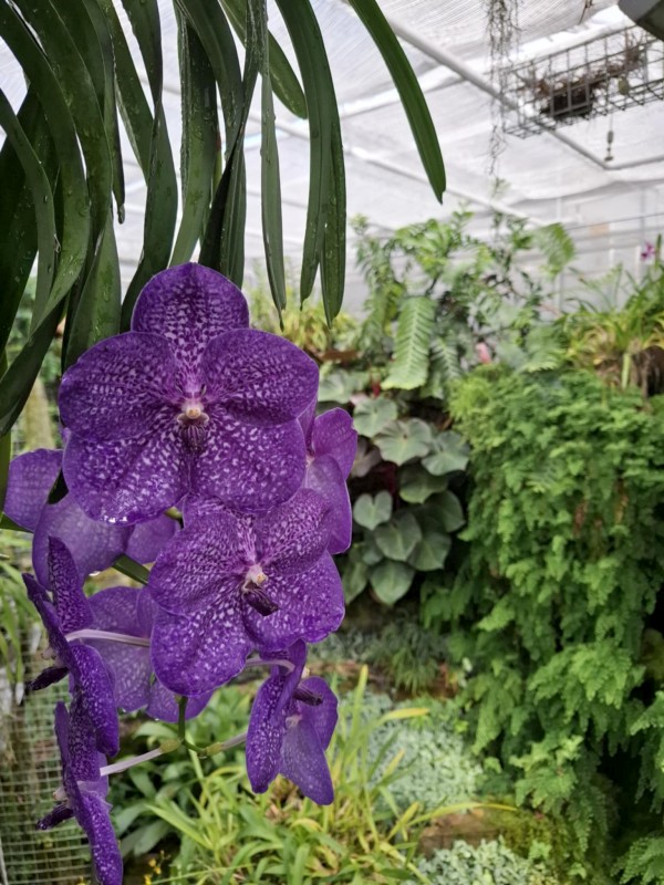 ecacfbe8-ec51-4510-a906-f2ddd6f3d89e.jpeg, 150kB