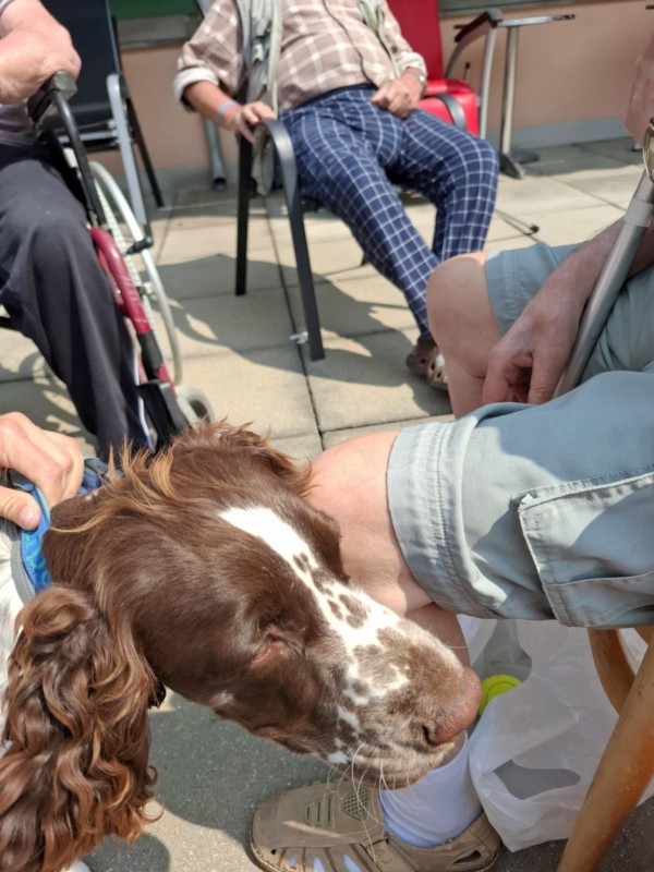 f5a0e97a-e783-4c3b-a2c2-a651e9999e8b.jpg, 119kB