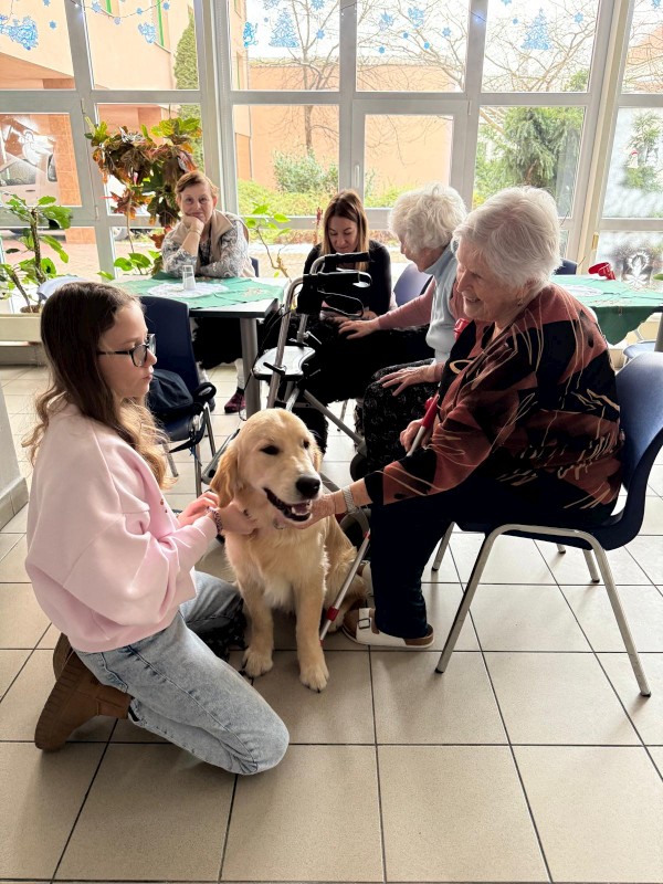 4a151b18-25f2-46ef-bd49-5465371a9ae4.JPG, 158kB