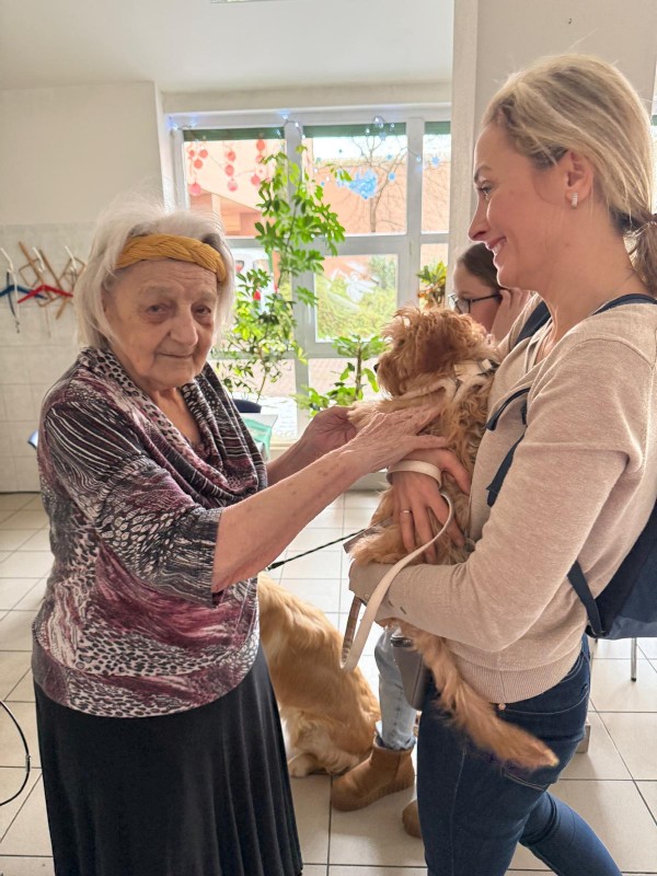 52b0e8aa-0207-434f-b1a9-6468a52636b8.JPG, 132kB