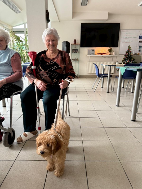 9c8f5c66-f6b5-489c-85f4-112ec1686ced.JPG, 132kB