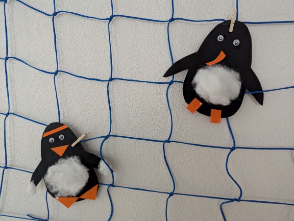 PXL_20260130_135746552.jpg, 78kB