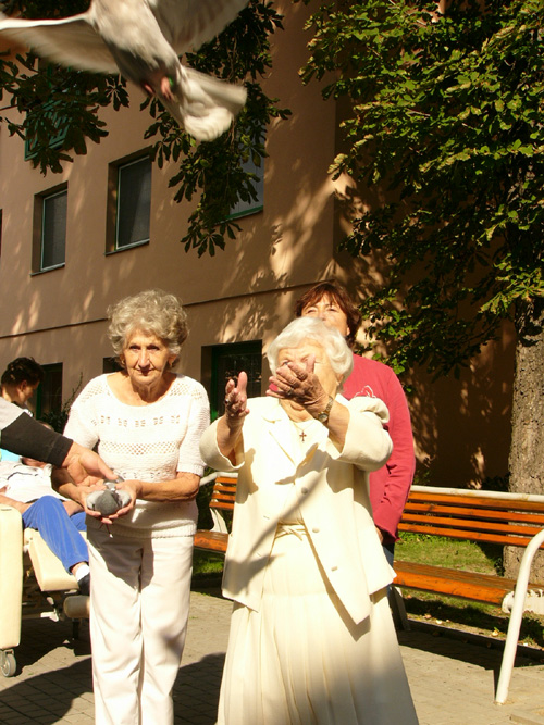 P1430801.JPG, 209kB