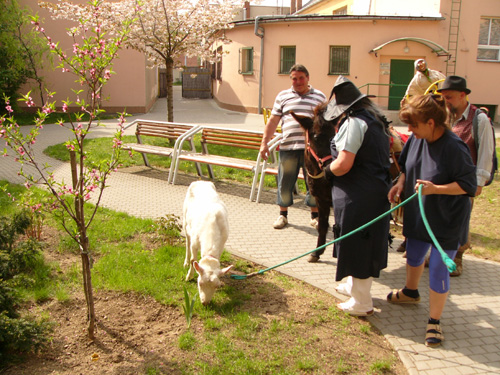 P1440796.JPG, 148kB