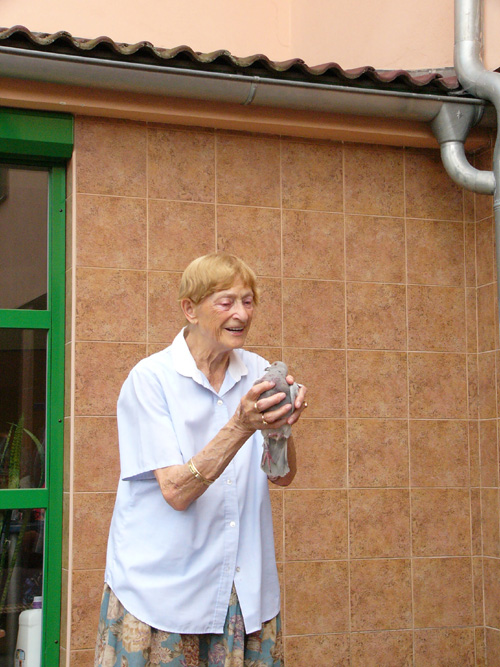 P1450215.JPG, 172kB