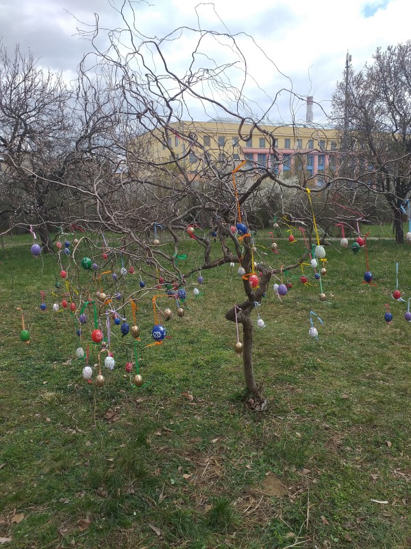 20230403_133628.jpg, 224kB