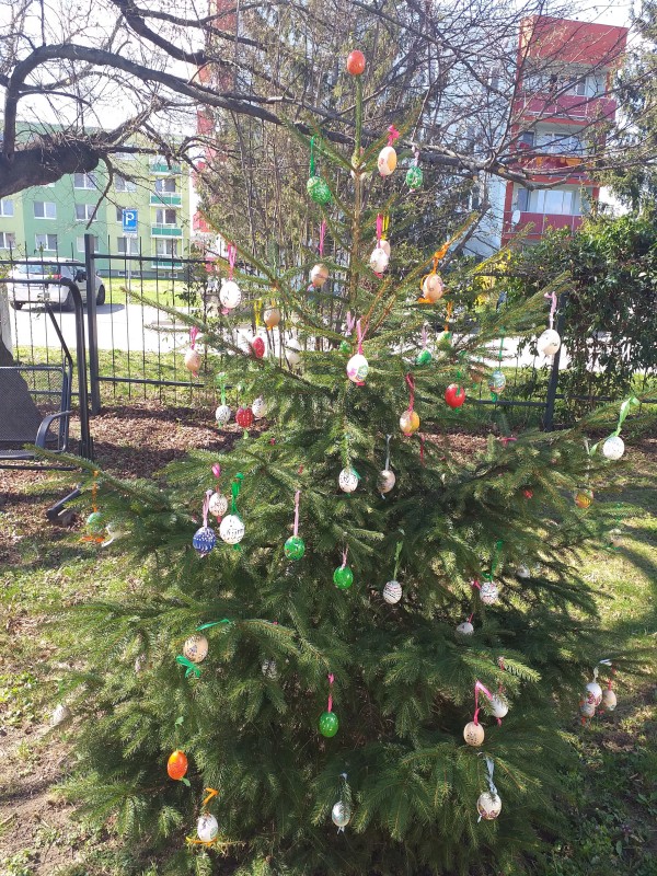 20230404_135802.jpg, 257kB