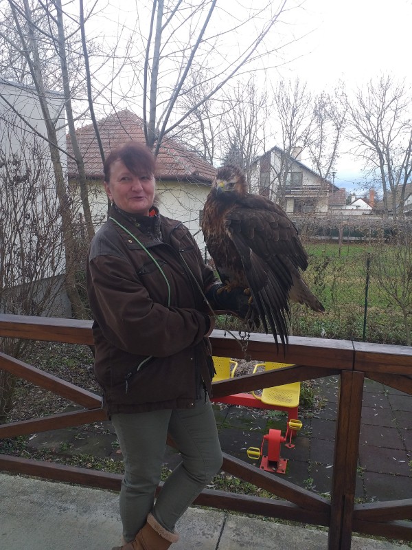 20240104_105732_edited.jpg, 166kB