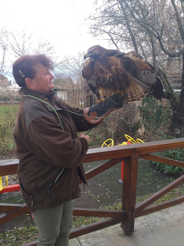 20240104_110201_edited.jpg, 157kB