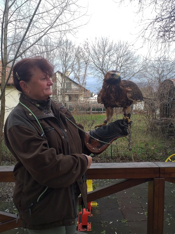 20240104_110438_edited.jpg, 174kB