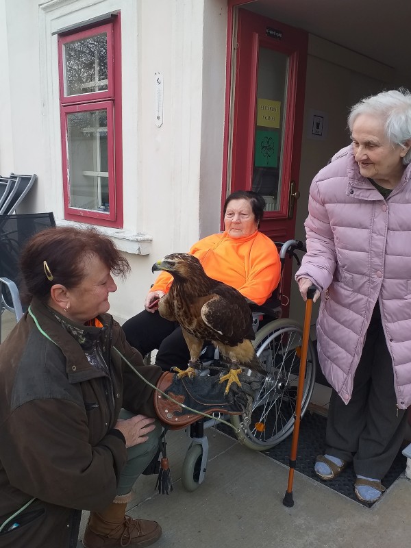 20240104_112842_edited.jpg, 115kB