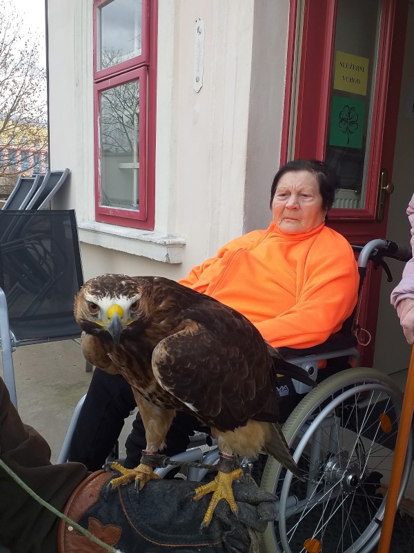 20240104_112847_edited.jpg, 124kB