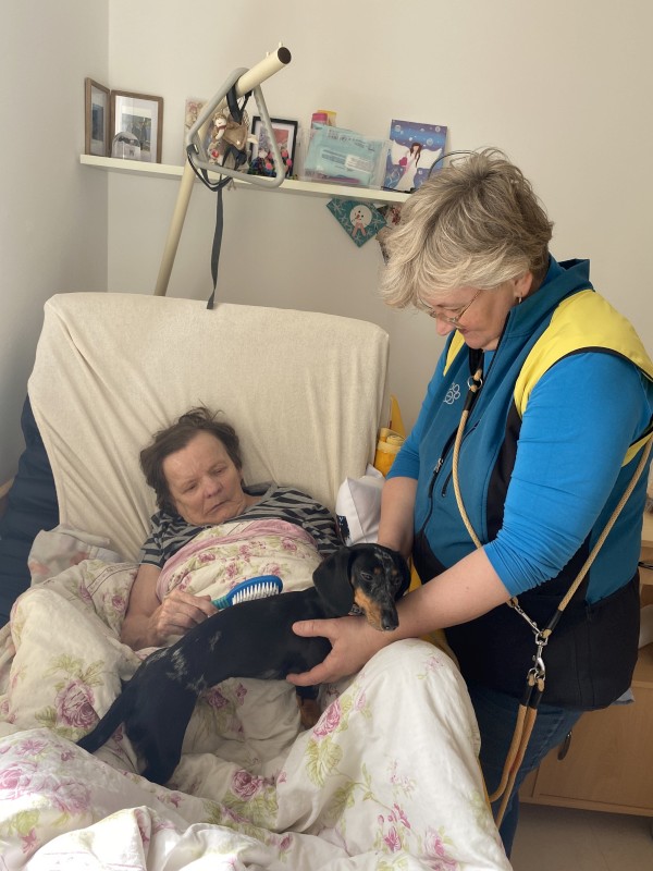 IMG_4047.jpeg, 107kB