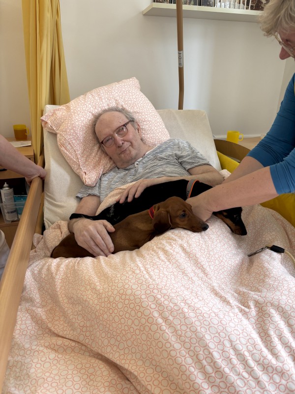 IMG_4168.jpeg, 133kB