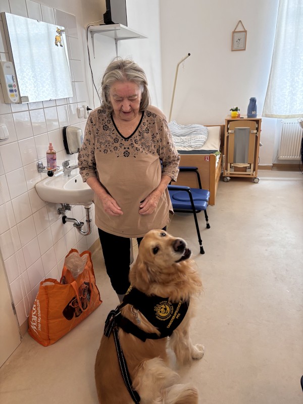 IMG_4174.jpeg, 104kB