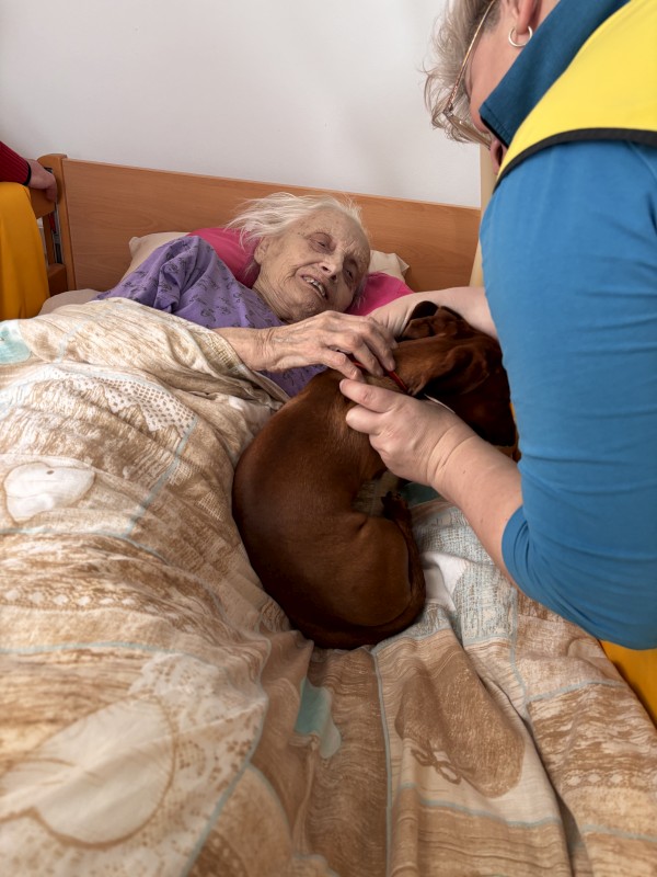 IMG_4180.jpeg, 106kB