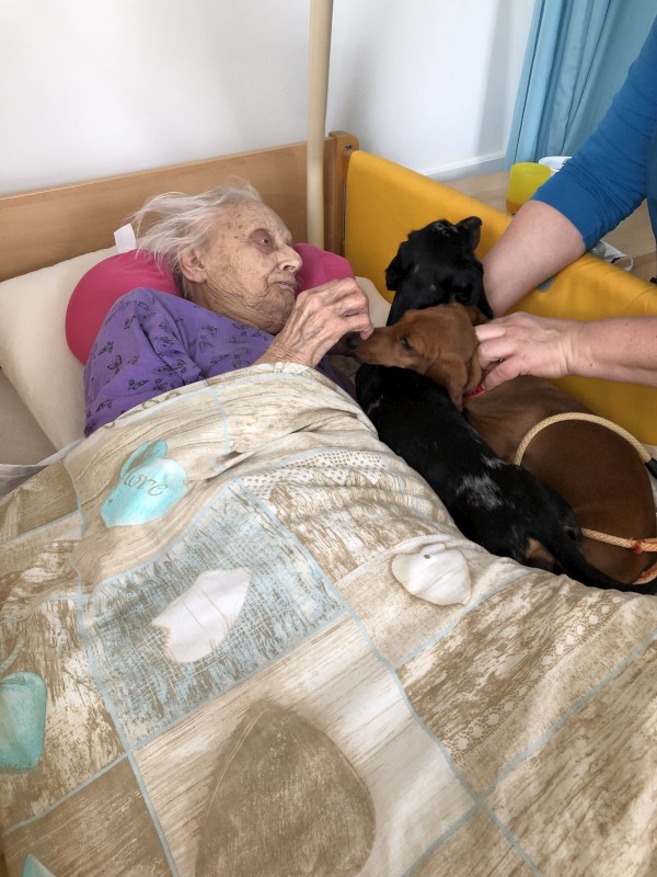 IMG_5404.jpeg, 123kB