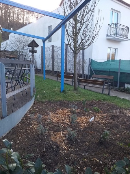 20260401_081416.jpg, 138kB