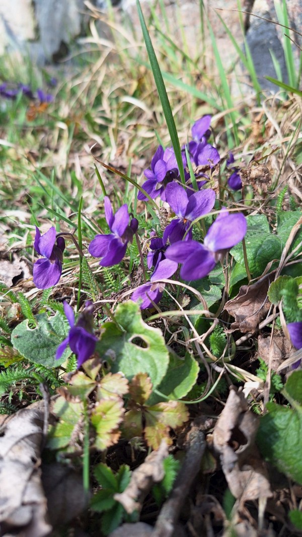 IMG-20260314-WA0014.jpg, 208kB